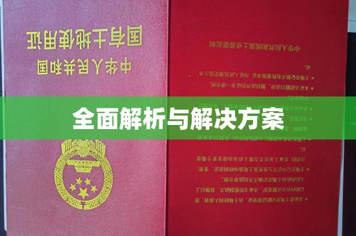 盐田全面解析与解决方案